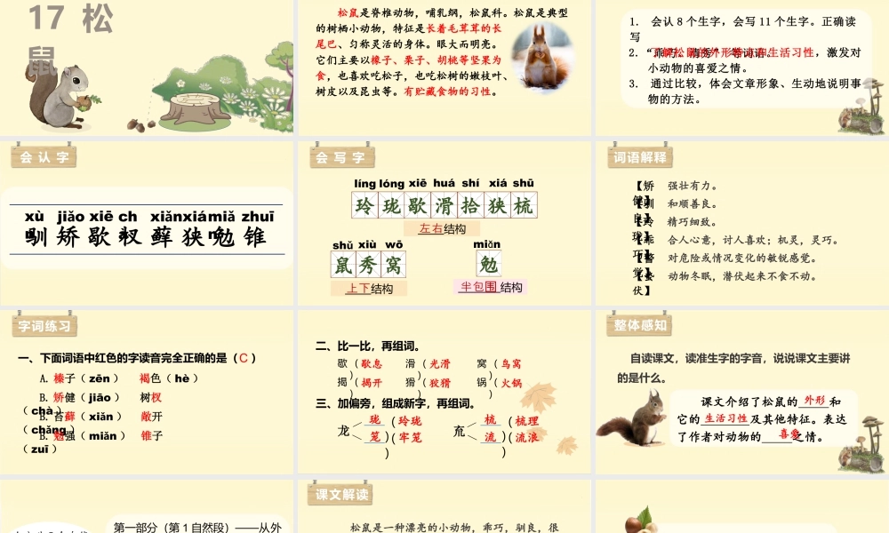 部编版语文五年级上-（上课课件）17.松鼠.pptx