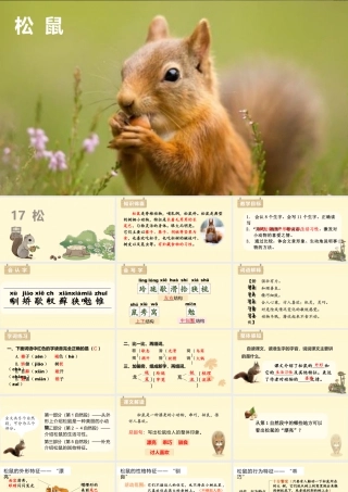 部编版语文五年级上-（上课课件）17.松鼠.pptx