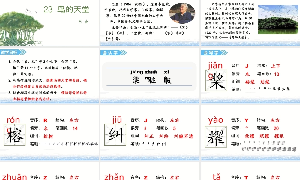 部编版语文五年级上-（上课课件）23.鸟的天堂.pptx