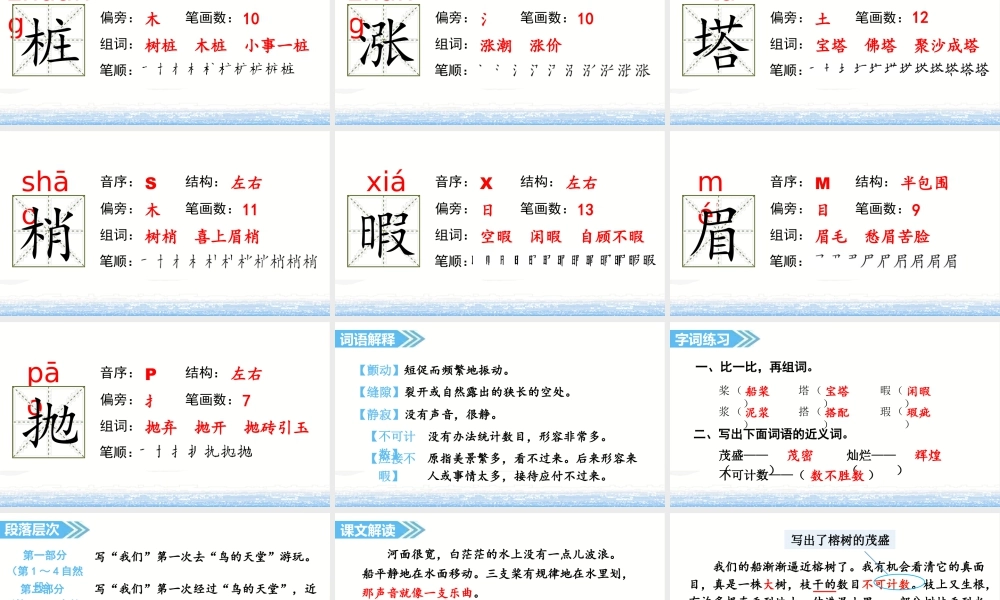 部编版语文五年级上-（上课课件）23.鸟的天堂.pptx