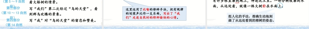 部编版语文五年级上-（上课课件）23.鸟的天堂.pptx
