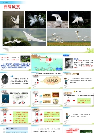 部编版语文五年级上-1 白鹭.pptx
