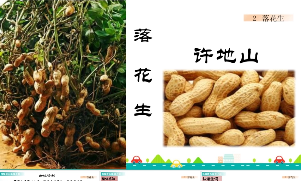 部编版语文五年级上-2 落花生 课件.pptx