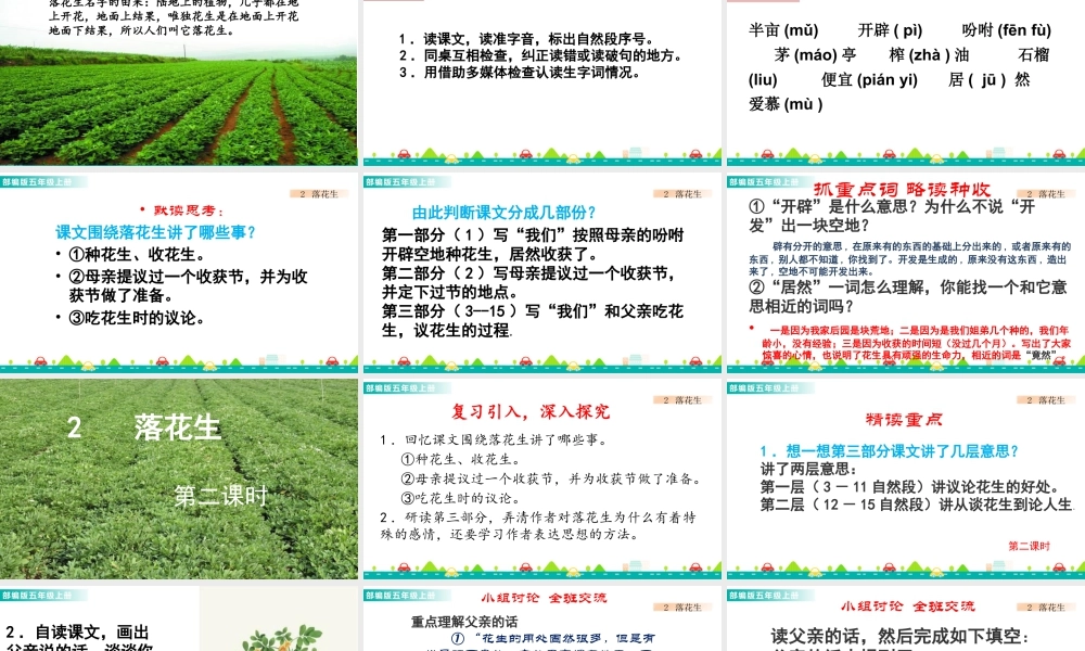 部编版语文五年级上-2 落花生 课件.pptx