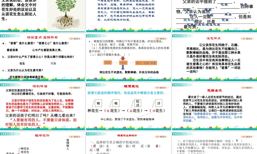 部编版语文五年级上-2 落花生 课件.pptx