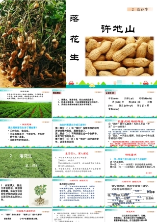 部编版语文五年级上-2 落花生 课件.pptx