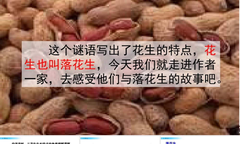 部编版语文五年级上-2 落花生.pptx