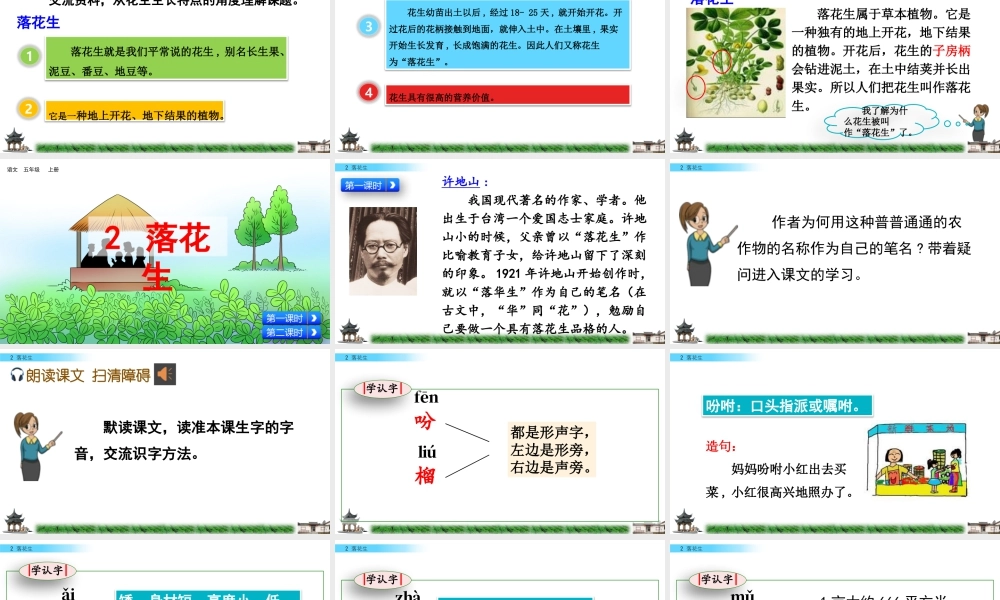 部编版语文五年级上-2 落花生.pptx
