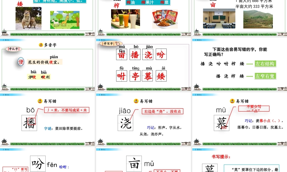 部编版语文五年级上-2 落花生.pptx