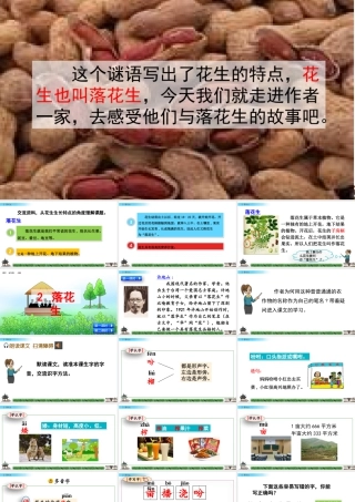 部编版语文五年级上-2 落花生.pptx