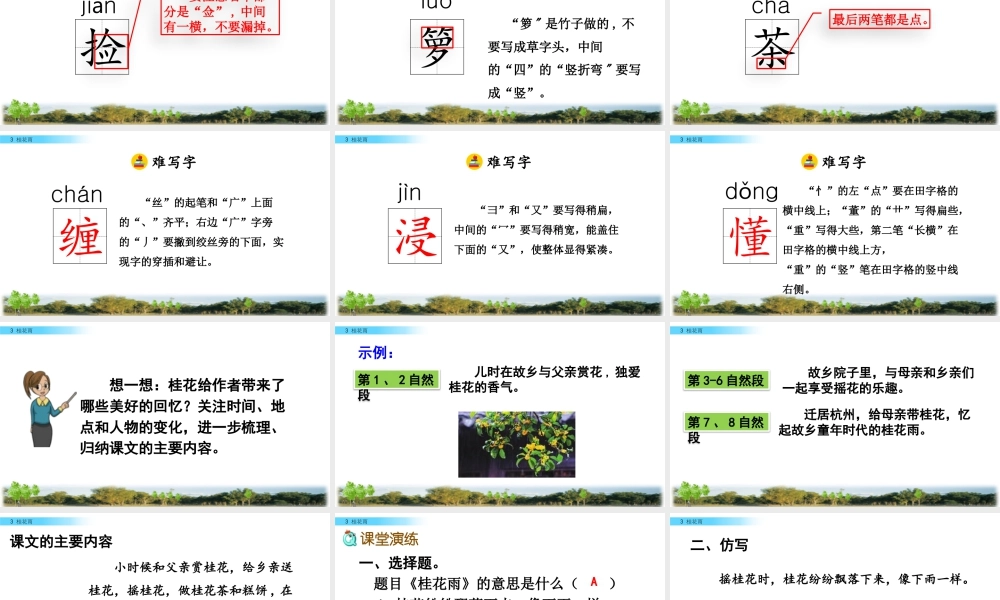 部编版语文五年级上-3 桂花雨.pptx