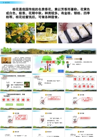 部编版语文五年级上-3 桂花雨.pptx