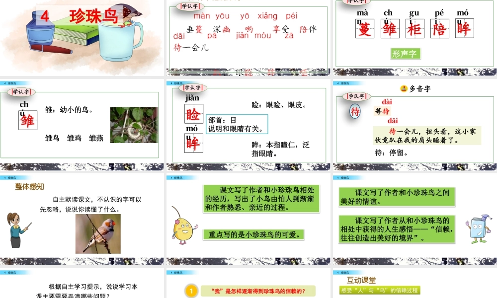 部编版语文五年级上-4 珍珠鸟.pptx