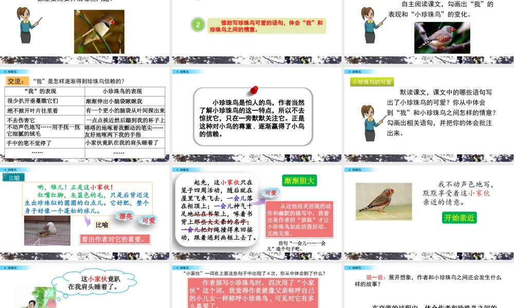部编版语文五年级上-4 珍珠鸟.pptx
