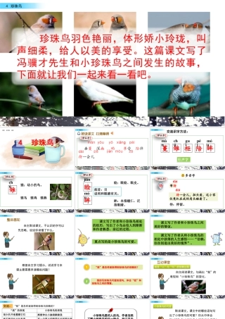 部编版语文五年级上-4 珍珠鸟.pptx