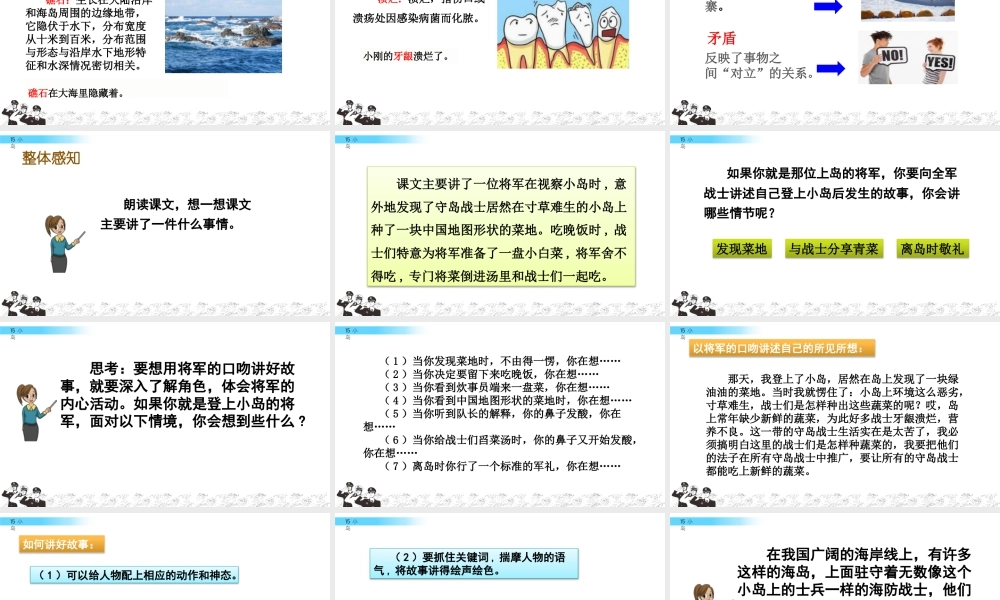 部编版语文五年级上-15 小岛.pptx