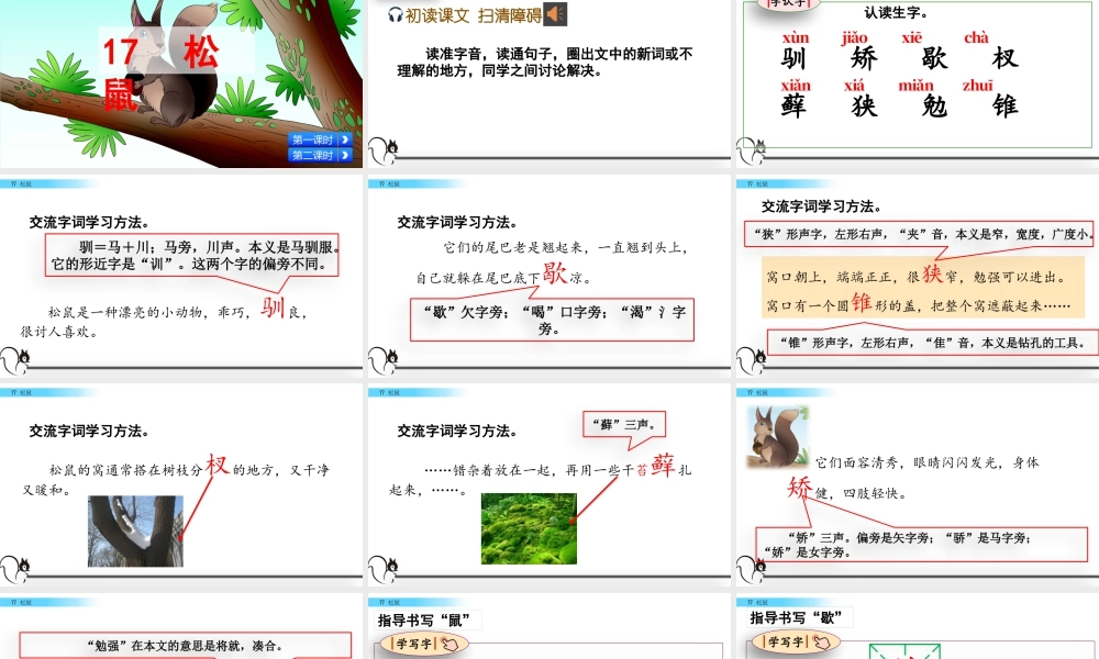 部编版语文五年级上-17 松鼠.pptx