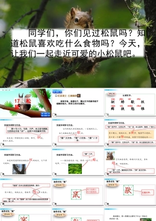 部编版语文五年级上-17 松鼠.pptx