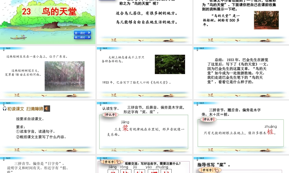 部编版语文五年级上-23 鸟的天堂.pptx