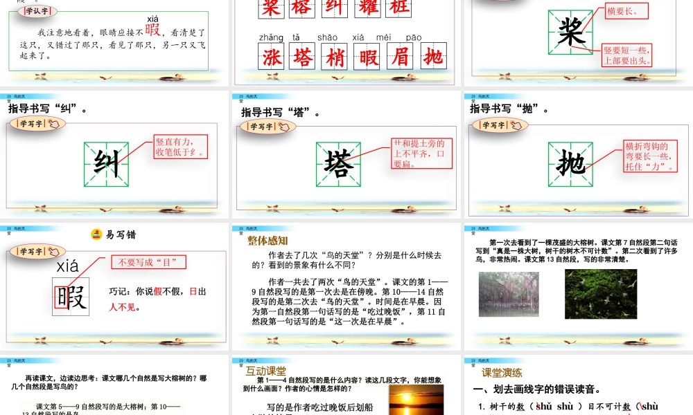 部编版语文五年级上-23 鸟的天堂.pptx