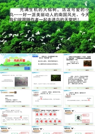 部编版语文五年级上-23 鸟的天堂.pptx