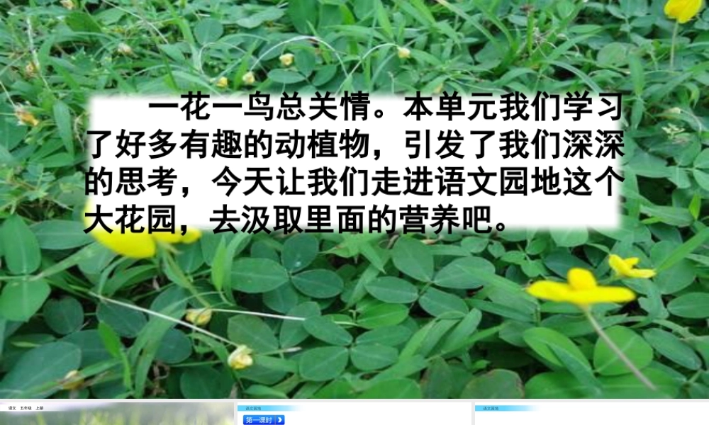 部编版语文五年级上-语文园地.pptx