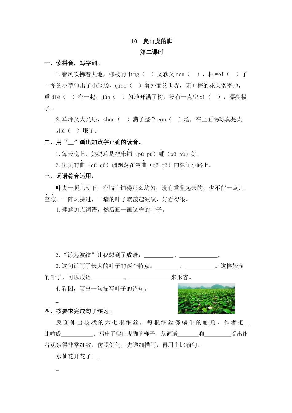 四年级语文上册课时练习-10 爬山虎的脚.docx_第3页