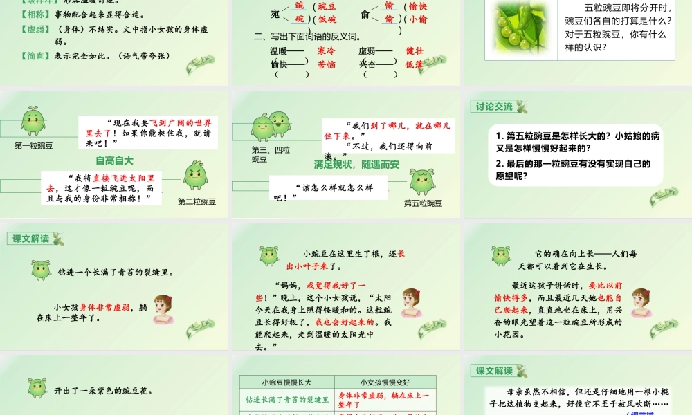 2025统编版四年级上册（教学课件）5.一个豆荚里的五粒豆.pptx