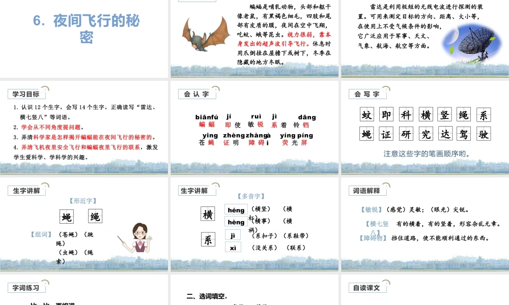 2025统编版四年级上册（教学课件）6.夜间飞行的秘密.pptx