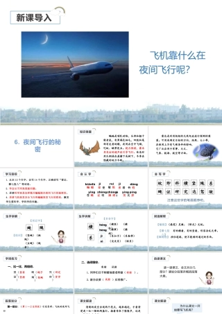 2025统编版四年级上册（教学课件）6.夜间飞行的秘密.pptx