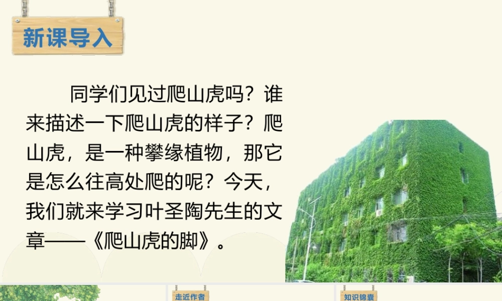 2025统编版四年级上册（教学课件）10.爬山虎的脚.pptx