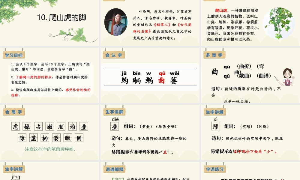 2025统编版四年级上册（教学课件）10.爬山虎的脚.pptx