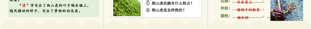 2025统编版四年级上册（教学课件）10.爬山虎的脚.pptx