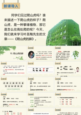 2025统编版四年级上册（教学课件）10.爬山虎的脚.pptx