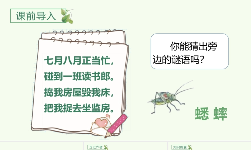 2025统编版四年级上册（教学课件）11.蟋蟀的住宅.pptx