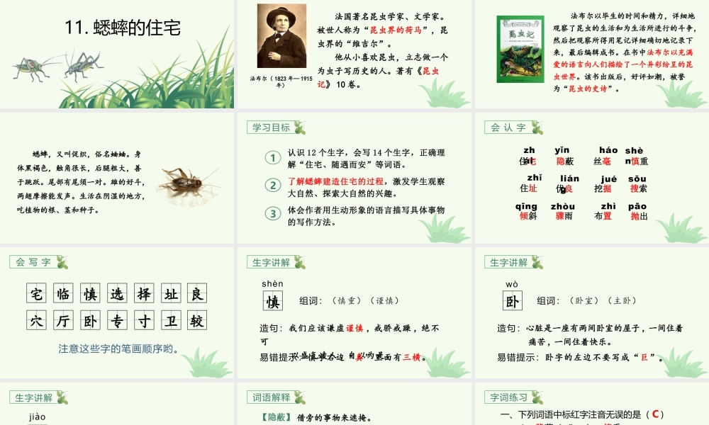 2025统编版四年级上册（教学课件）11.蟋蟀的住宅.pptx