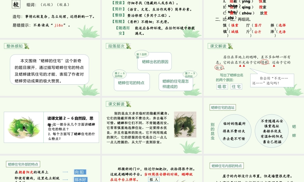 2025统编版四年级上册（教学课件）11.蟋蟀的住宅.pptx