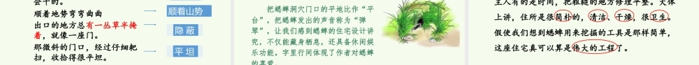 2025统编版四年级上册（教学课件）11.蟋蟀的住宅.pptx