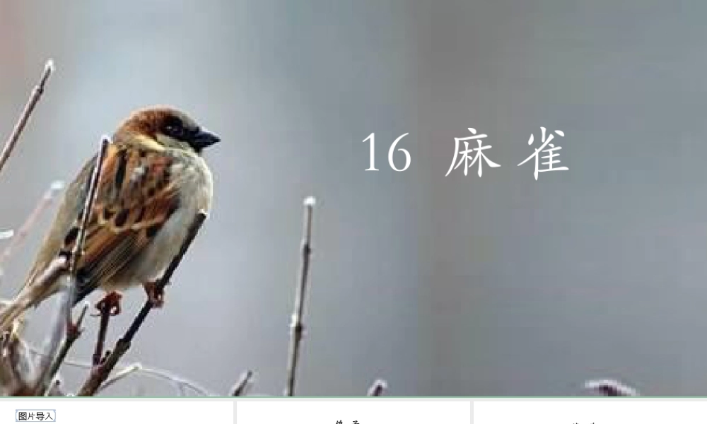 2025统编版四年级上册（教学课件）16.麻雀.pptx