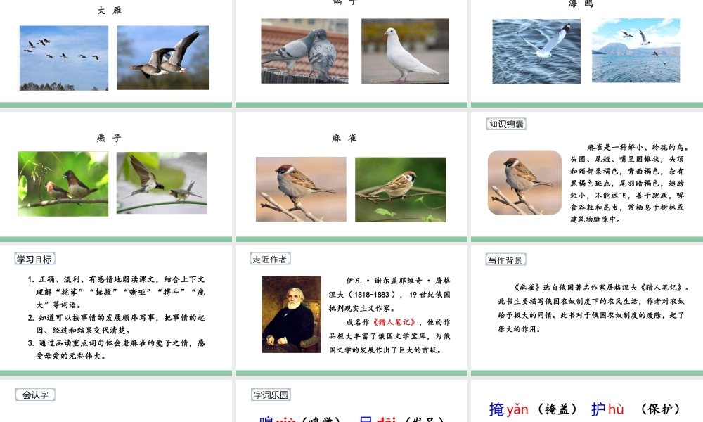 2025统编版四年级上册（教学课件）16.麻雀.pptx