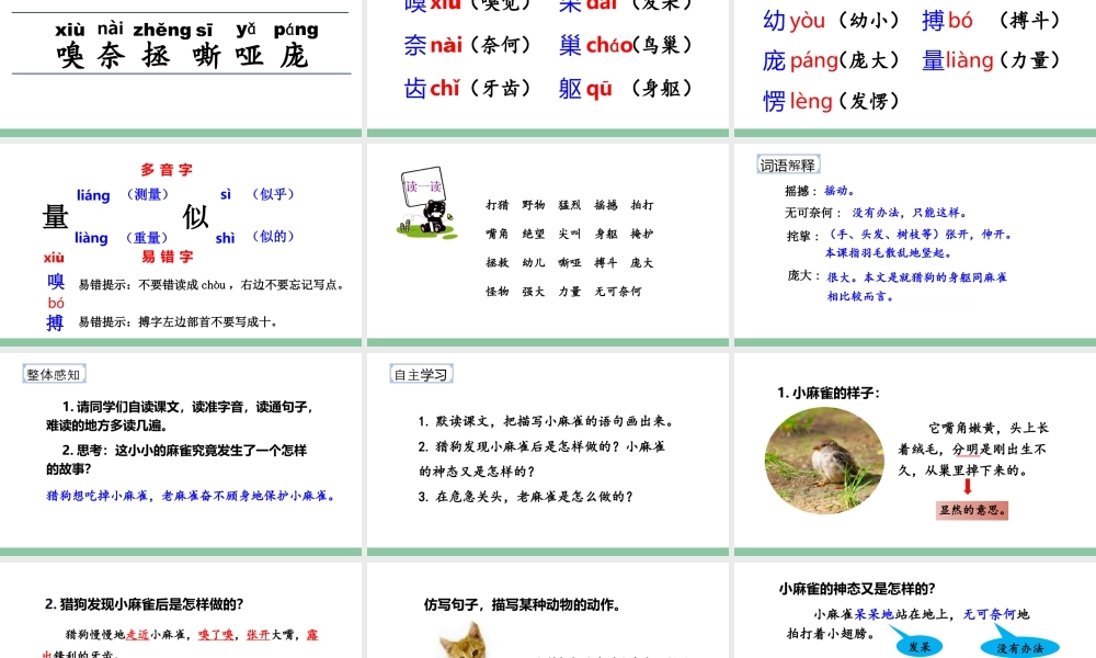 2025统编版四年级上册（教学课件）16.麻雀.pptx