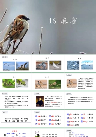 2025统编版四年级上册（教学课件）16.麻雀.pptx