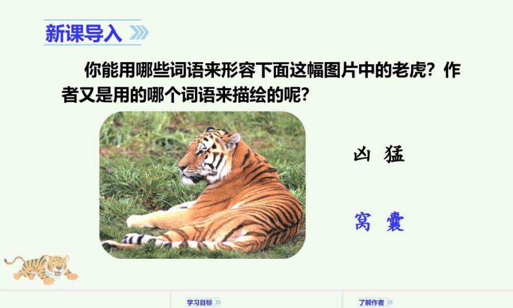 2025统编版四年级上册（教学课件）19 一只窝囊的大老虎.ppt