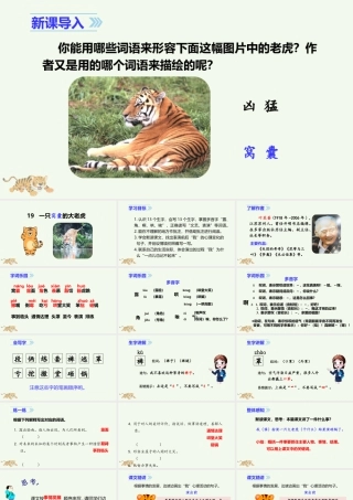 2025统编版四年级上册（教学课件）19 一只窝囊的大老虎.ppt