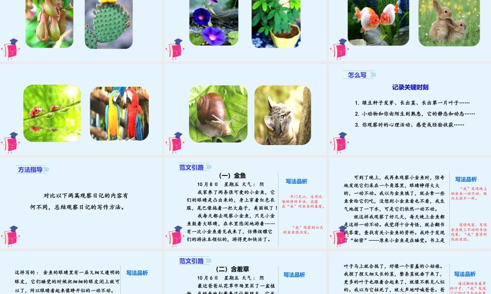 2025统编版四年级上册（教学课件）习作三：写观察日记.ppt