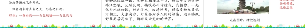 2025统编版四年级上册1 观潮 课件.pptx