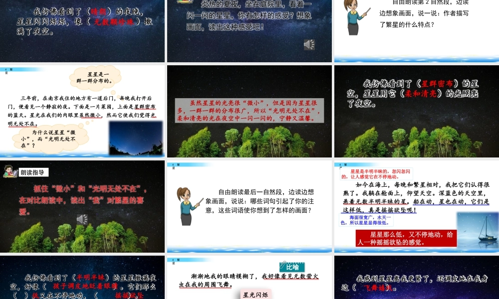 2025统编版四年级上册4 繁星.pptx