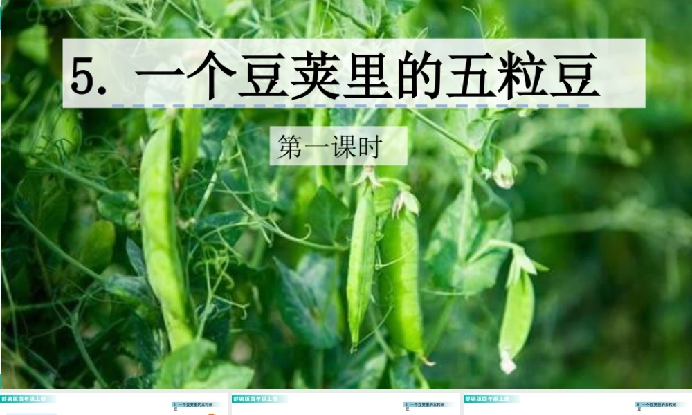 2025统编版四年级上册5 一个豆荚里的五粒豆 课件.pptx