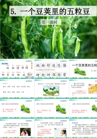 2025统编版四年级上册5 一个豆荚里的五粒豆 课件.pptx