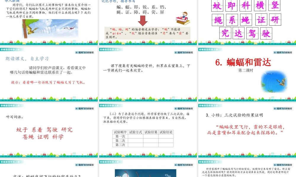 2025统编版四年级上册6 夜间飞行的秘密 课件.pptx
